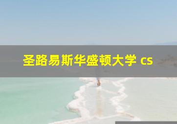 圣路易斯华盛顿大学 cs